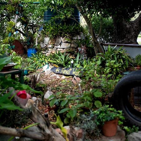 Zoete Inval Hostel Hermanus Εξωτερικό φωτογραφία