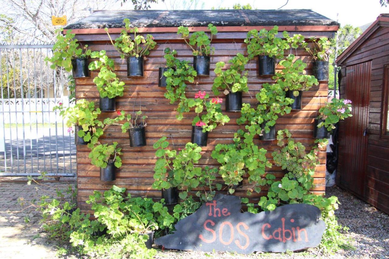 Zoete Inval Hostel Hermanus Εξωτερικό φωτογραφία