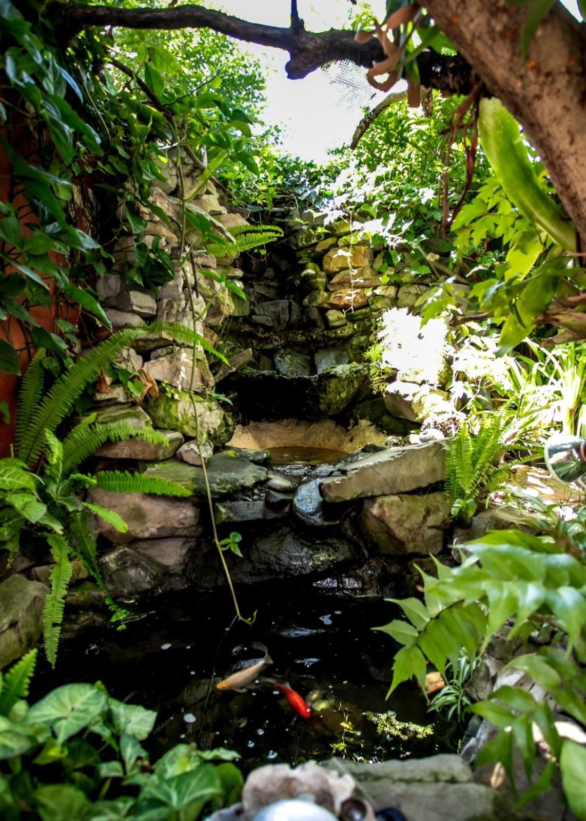 Zoete Inval Hostel Hermanus Εξωτερικό φωτογραφία